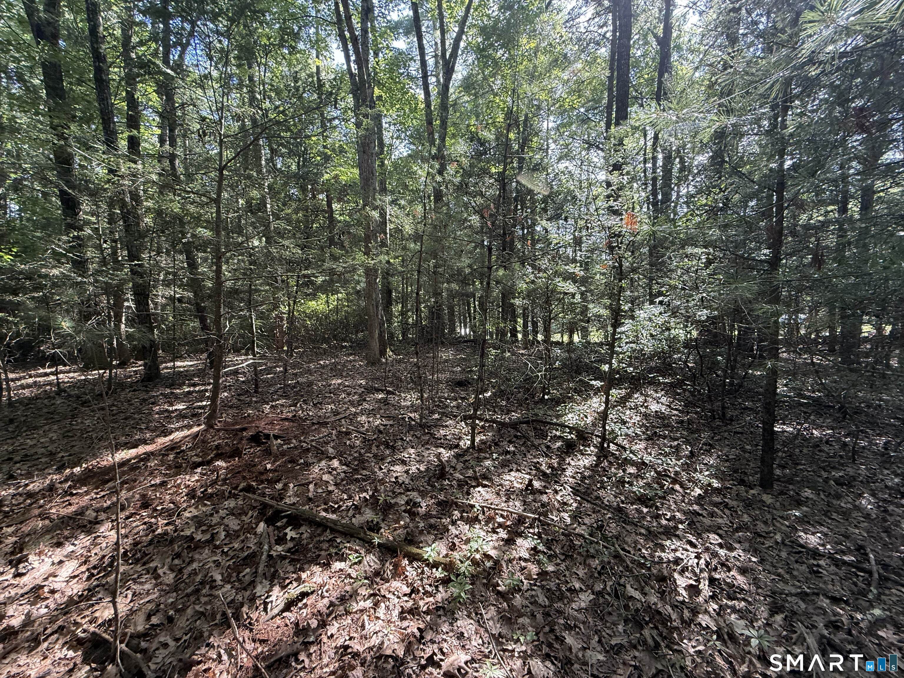 Tayler Trail Woodstock CT 06281