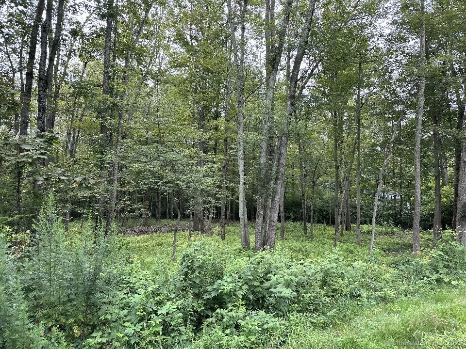 834 Hampton Road Pomfret CT 06230