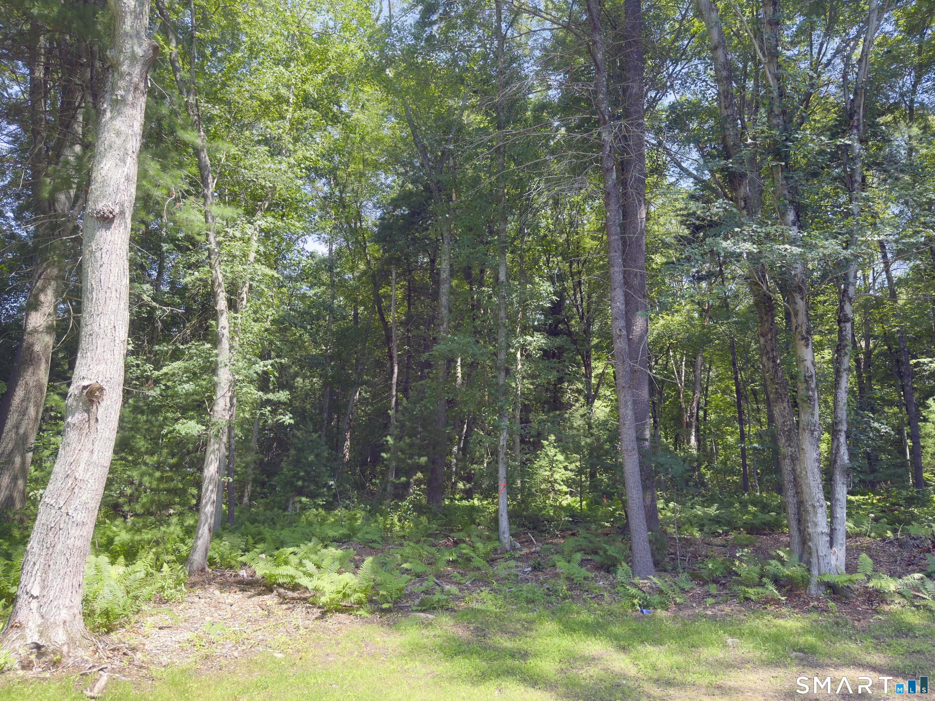 Collelo Avenue Plainfield CT 06354