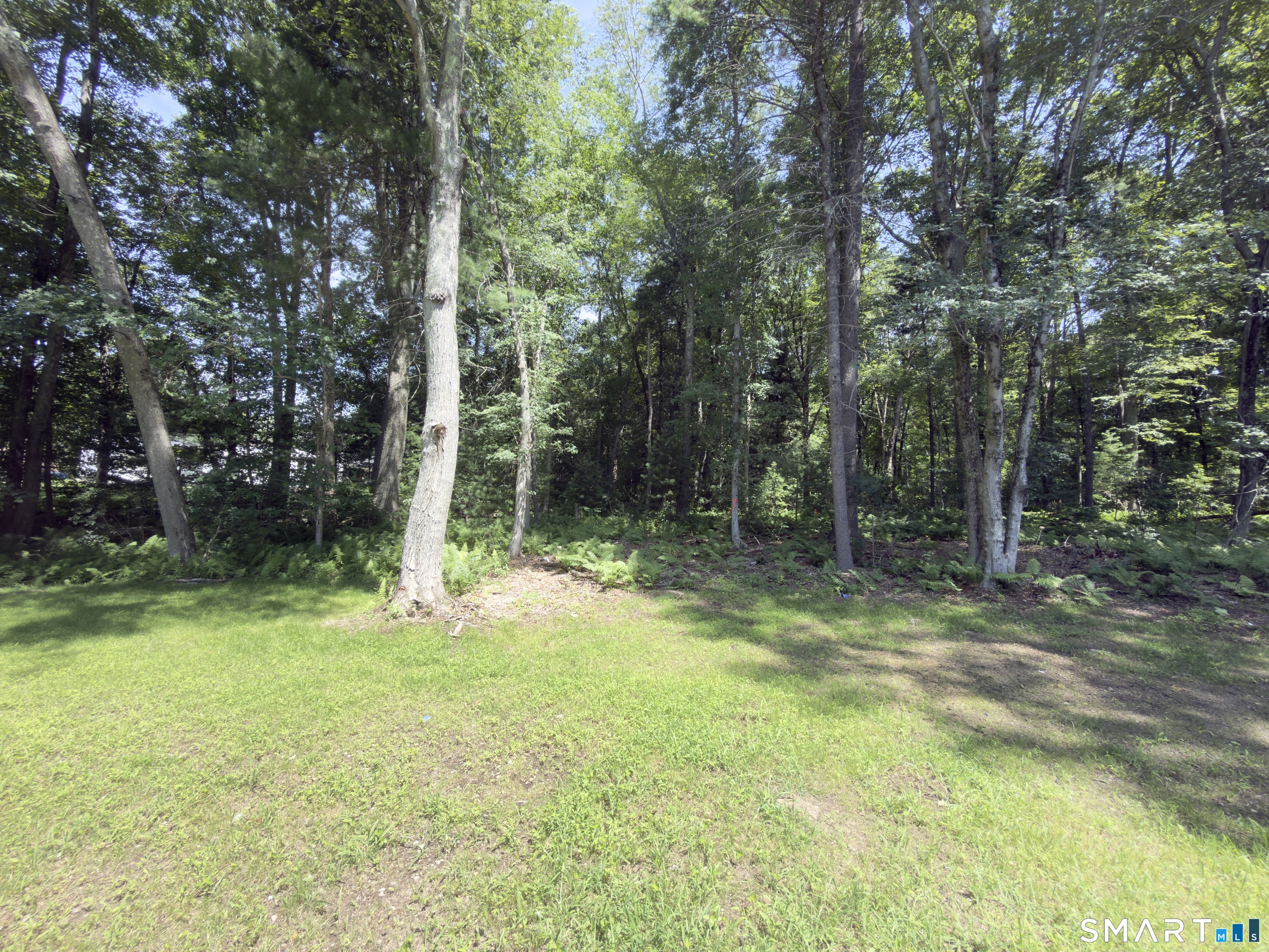 Collelo Avenue Plainfield CT 06354