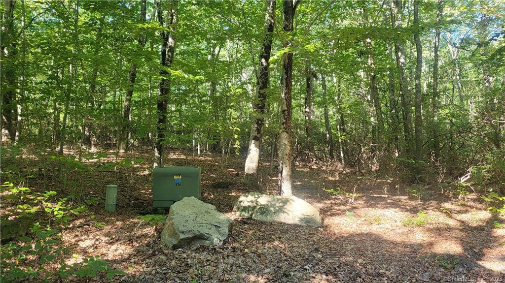 68 Town Woods Road Old Lyme CT 06371