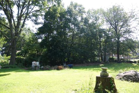 Miller Street Waterbury CT 06701
