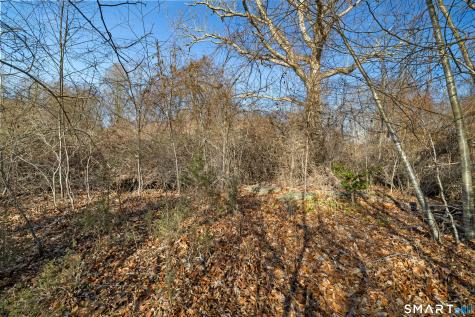 41 Bushy Hill Road Essex CT 06442