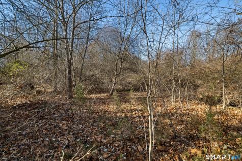41 Bushy Hill Road Essex CT 06442