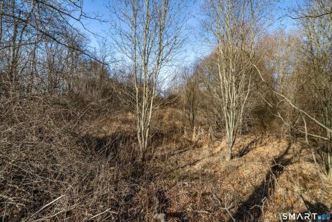41 Bushy Hill Road Essex CT 06442