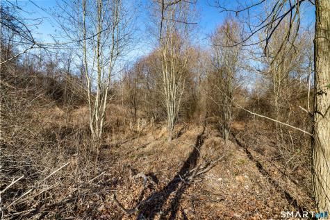 41 Bushy Hill Road Essex CT 06442