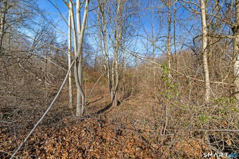 41 Bushy Hill Road Essex CT 06442