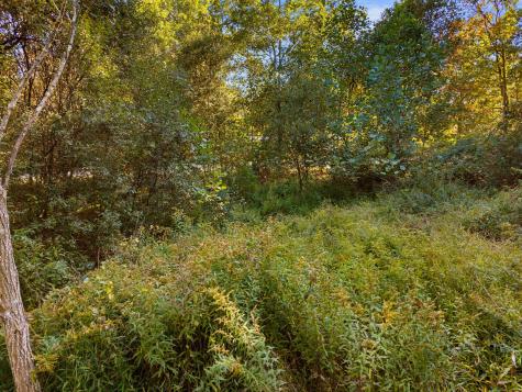 41 Bushy Hill Road Essex CT 06442