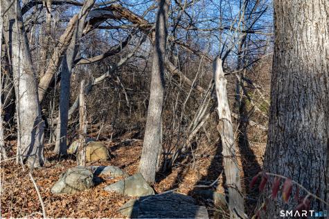 41 Bushy Hill Road Essex CT 06442