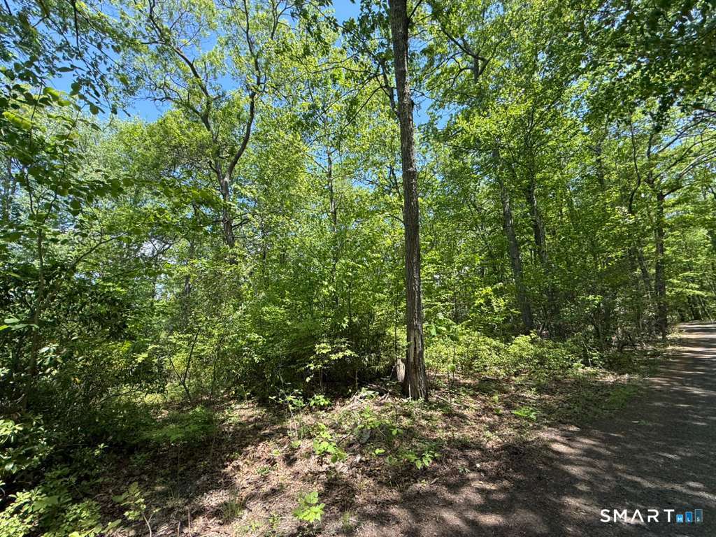 Bunker Hill Road Killingworth CT 06419
