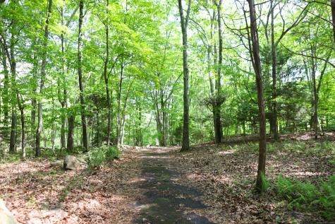 134 Meadow Woods Road Deep River CT 06417