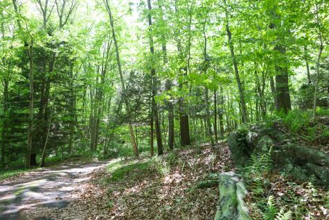 134 Meadow Woods Road Deep River CT 06417