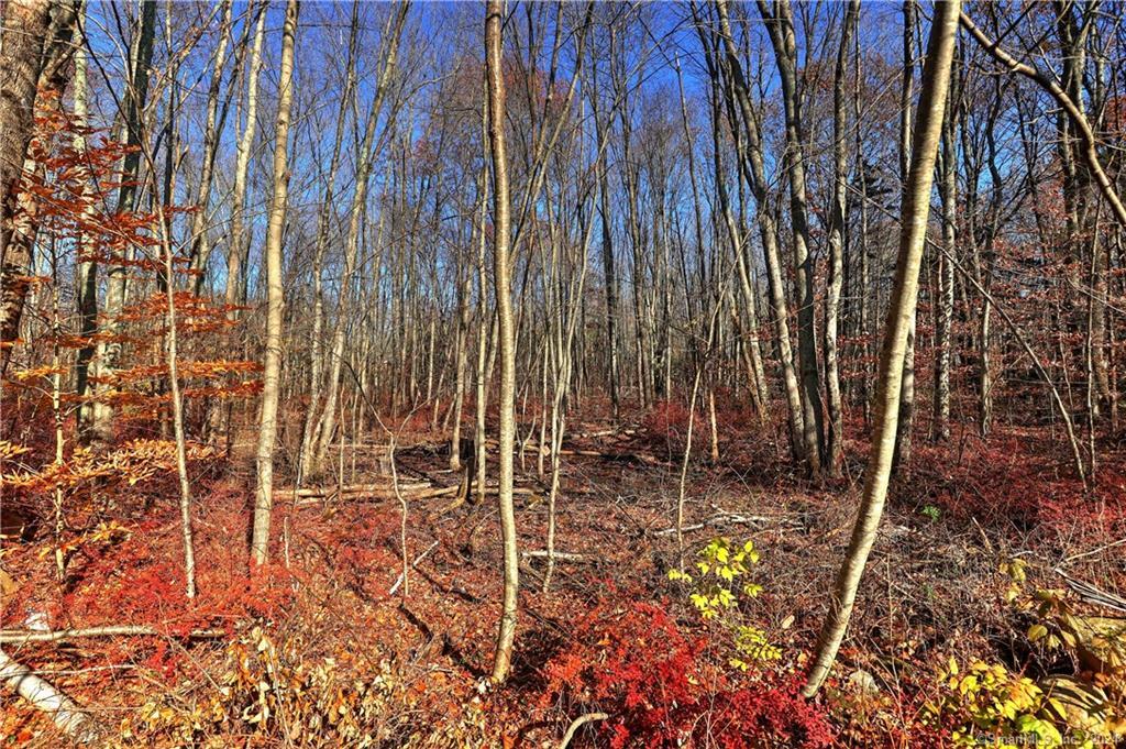 81 Oneil Road Oxford CT 06478