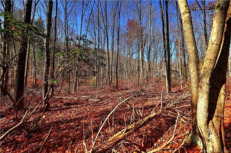 81 Oneil Road Oxford CT 06478