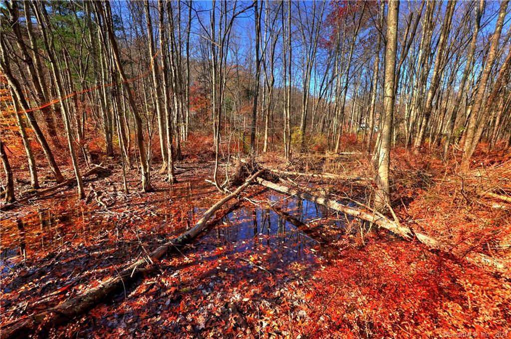81 Oneil Road Oxford CT 06478