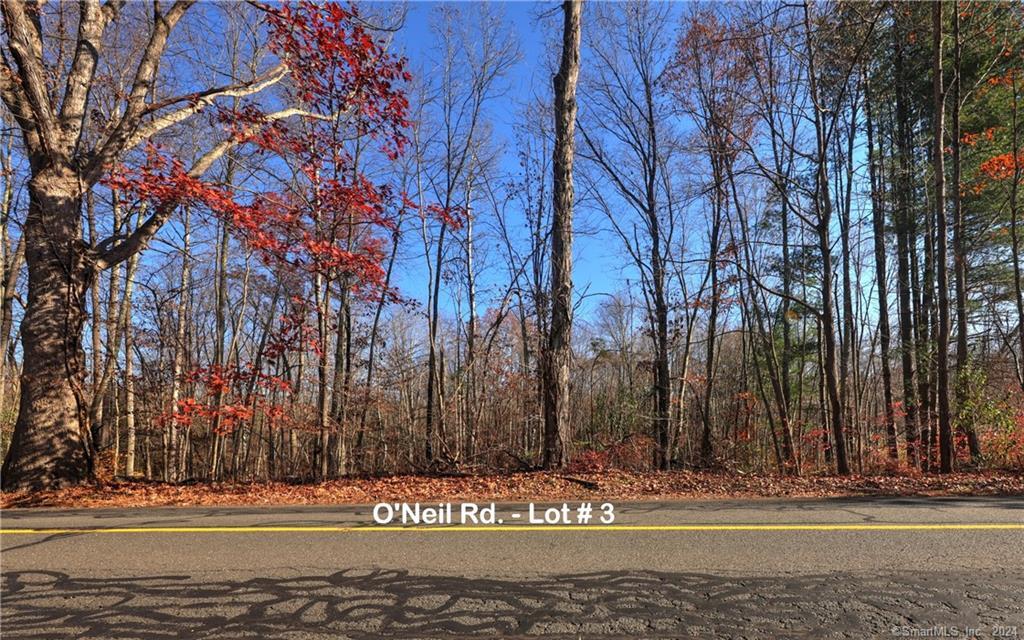 81 Oneil Road Oxford CT 06478