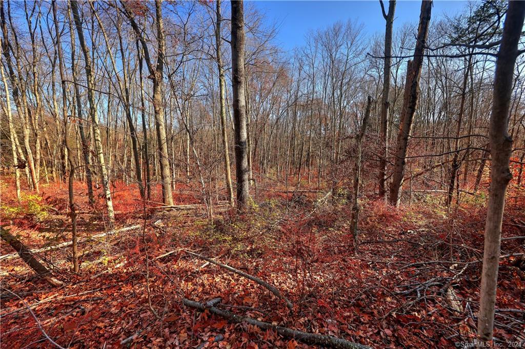 81 Oneil Road Oxford CT 06478