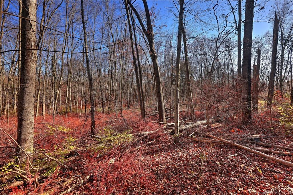 81 Oneil Road Oxford CT 06478