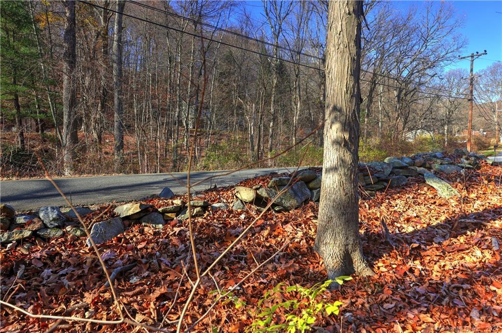 81 Oneil Road Oxford CT 06478