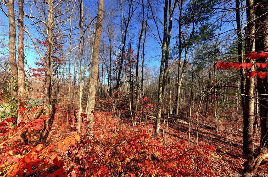 81 Oneil Road Oxford CT 06478