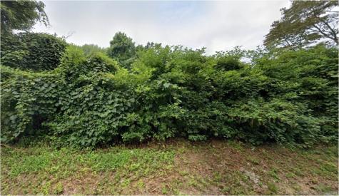 Cow Hill Road Clinton CT 06413