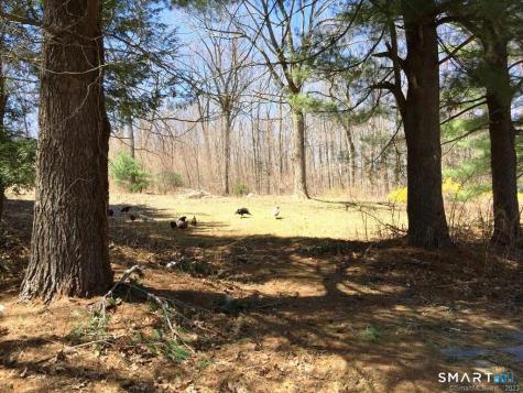 159 Campville Road Litchfield CT 06778
