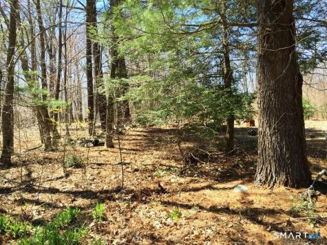 159 Campville Road Litchfield CT 06778