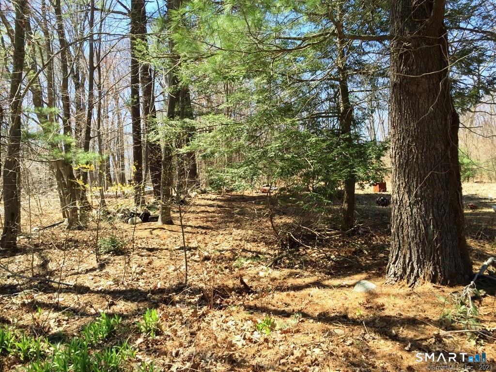 159 Campville Road Litchfield CT 06778
