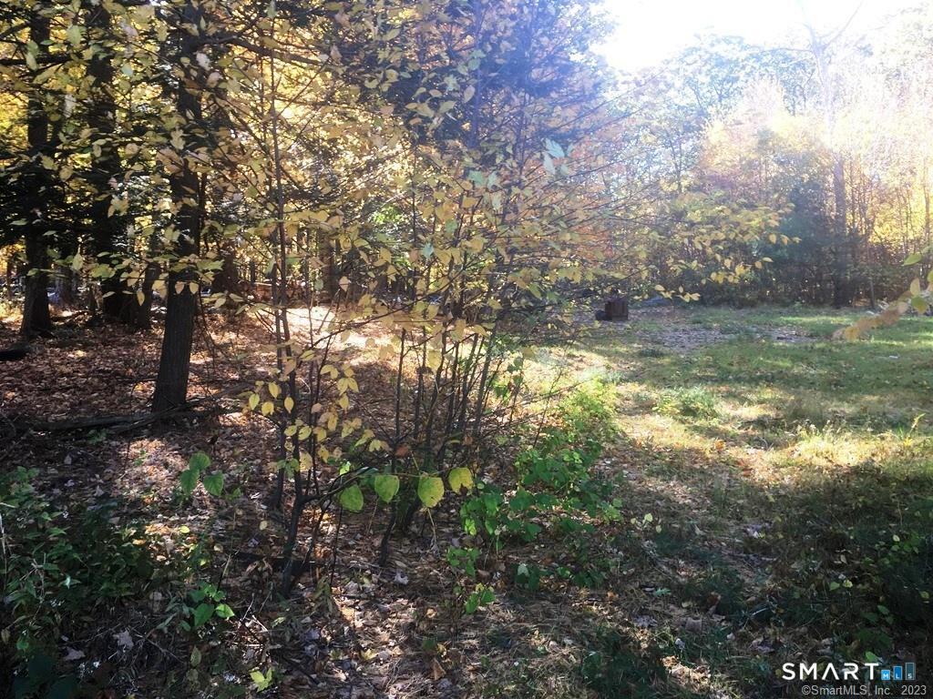 159 Campville Road Litchfield CT 06778