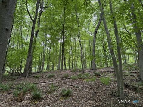 LOT10-B1 Foot Hills Road Haddam CT 06438
