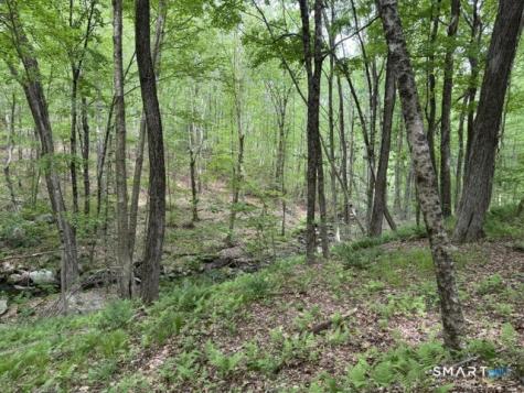 LOT10-B1 Foot Hills Road Haddam CT 06438
