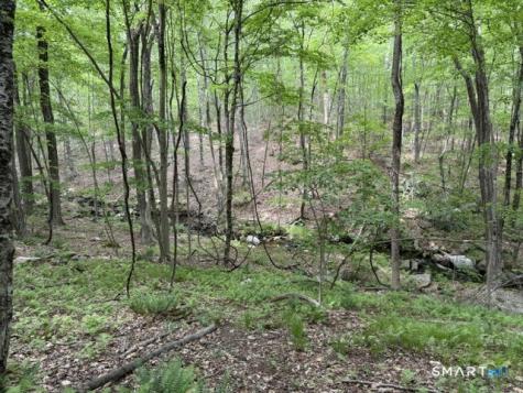 LOT10-B1 Foot Hills Road Haddam CT 06438