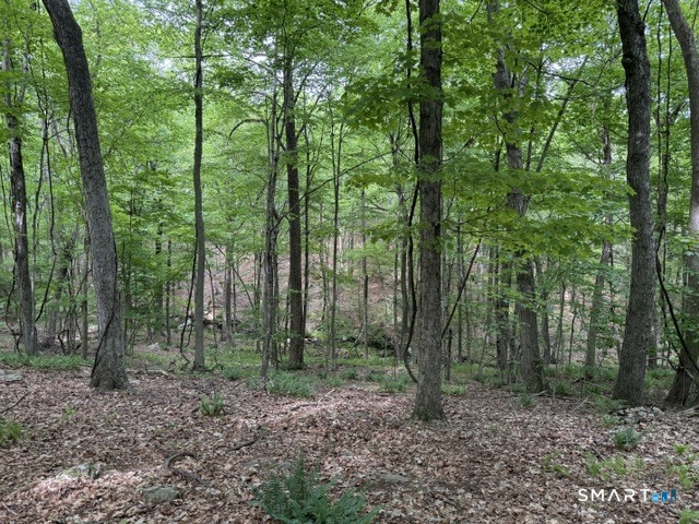 LOT10-B1 Foot Hills Road Haddam CT 06438