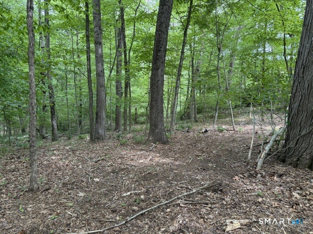 LOT10-B1 Foot Hills Road Haddam CT 06438