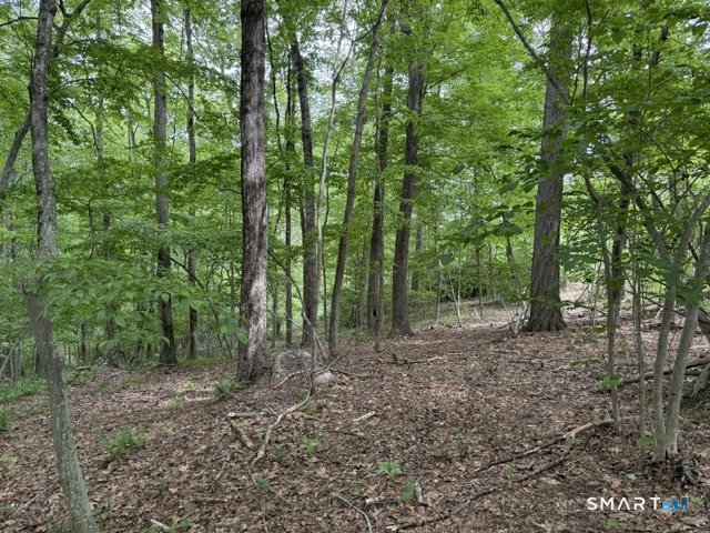 LOT10-B1 Foot Hills Road Haddam CT 06438