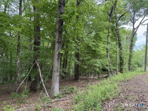 LOT10-B1 Foot Hills Road Haddam CT 06438