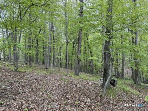 LOT10-B1 Foot Hills Road Haddam CT 06438