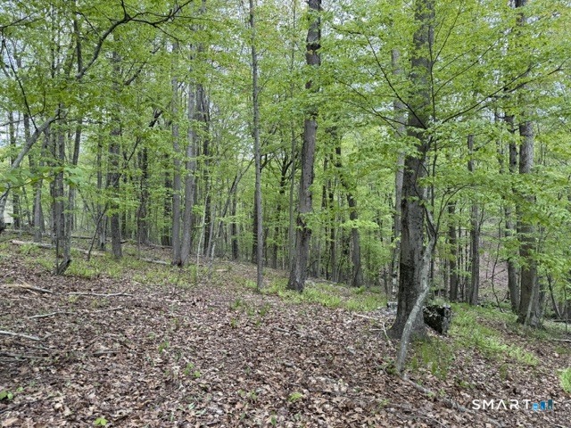 LOT10-B1 Foot Hills Road Haddam CT 06438
