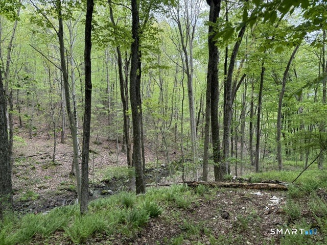 LOT10-B1 Foot Hills Road Haddam CT 06438