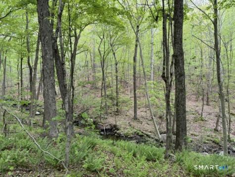 LOT10-B1 Foot Hills Road Haddam CT 06438