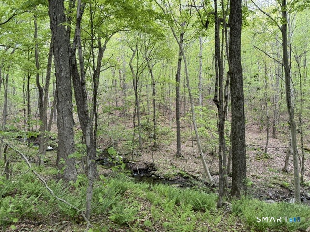 LOT10-B1 Foot Hills Road Haddam CT 06438