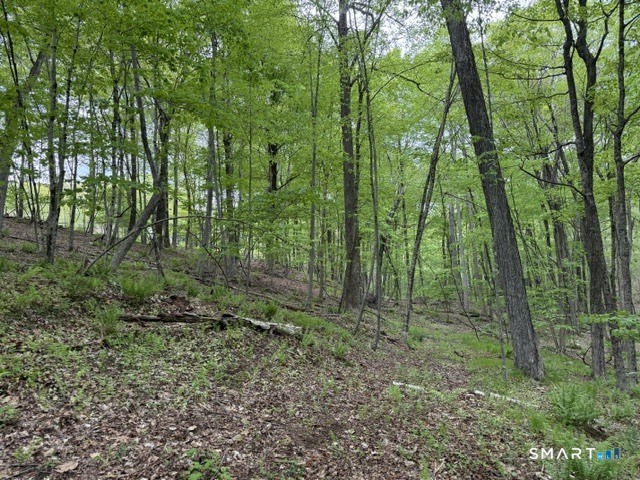 LOT10-B1 Foot Hills Road Haddam CT 06438