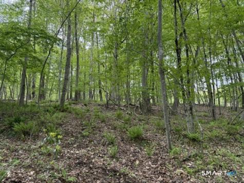 LOT10-B1 Foot Hills Road Haddam CT 06438