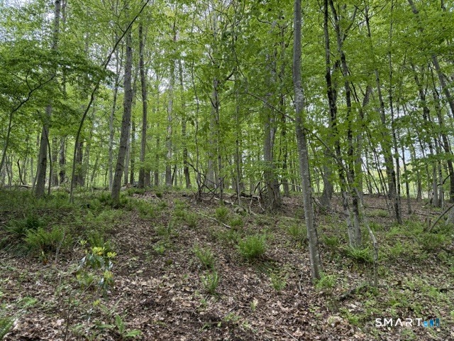 LOT10-B1 Foot Hills Road Haddam CT 06438