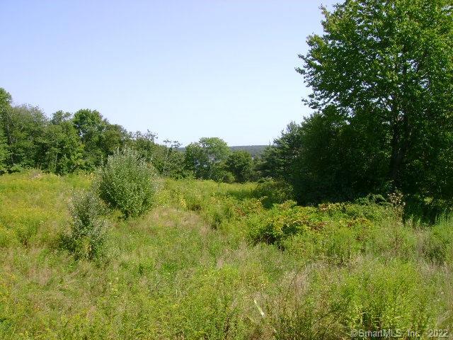 LOT 33 Highland Terrace East Hampton CT 06424
