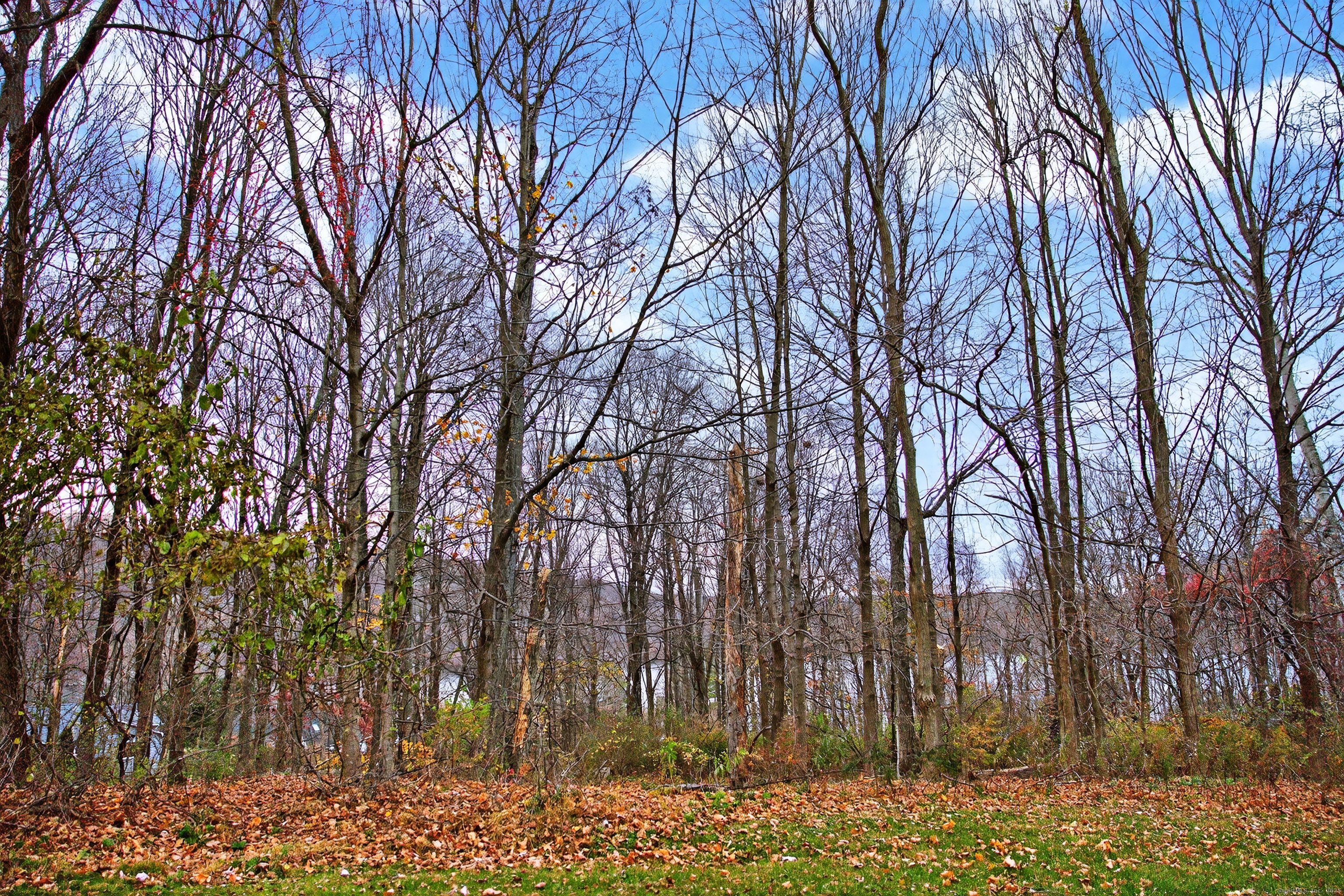 7 Eagle Drive New Milford CT 06776