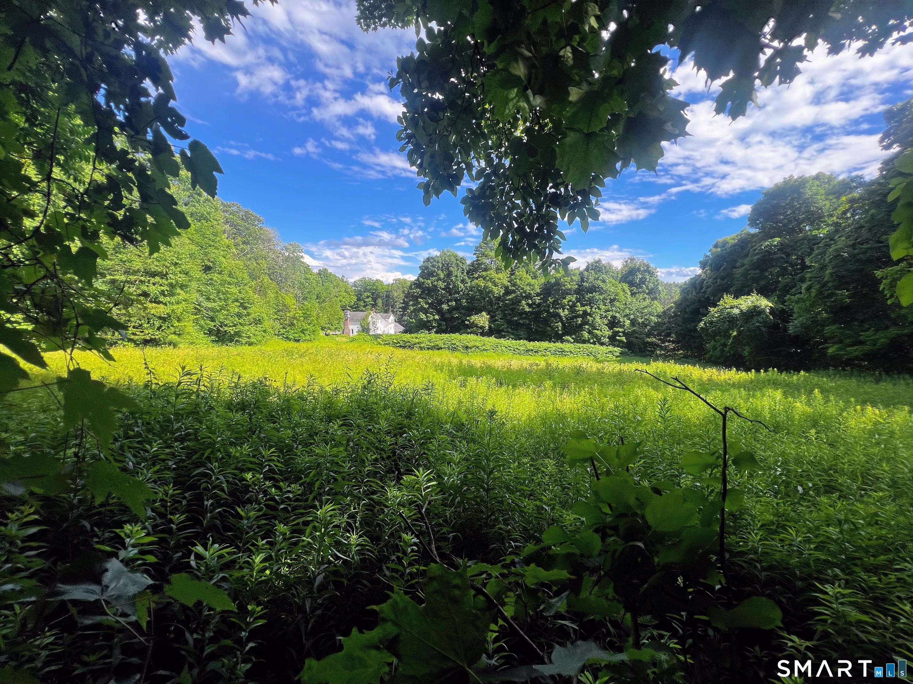 Hartland CT 06027
