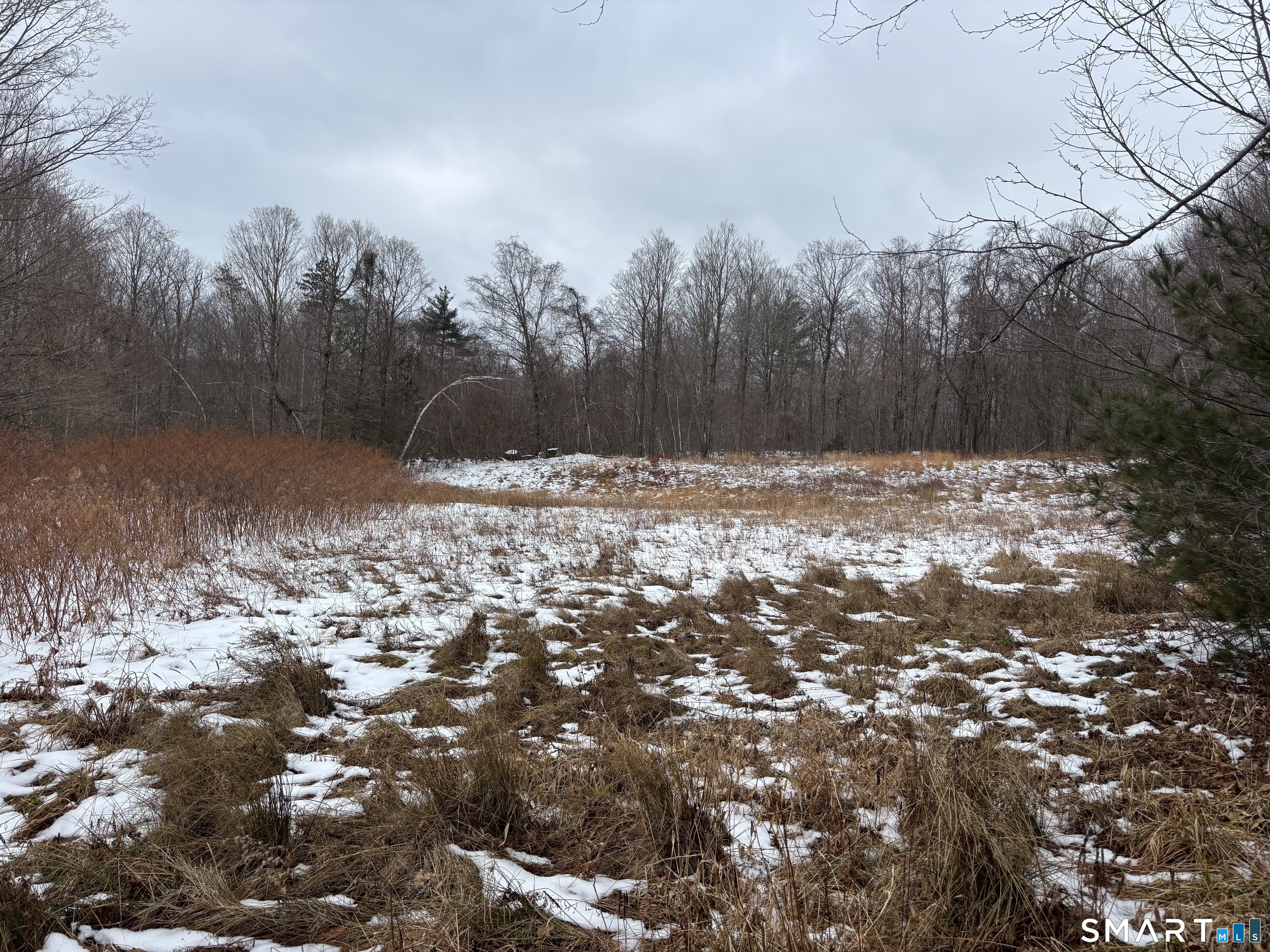 Hartland CT 06027