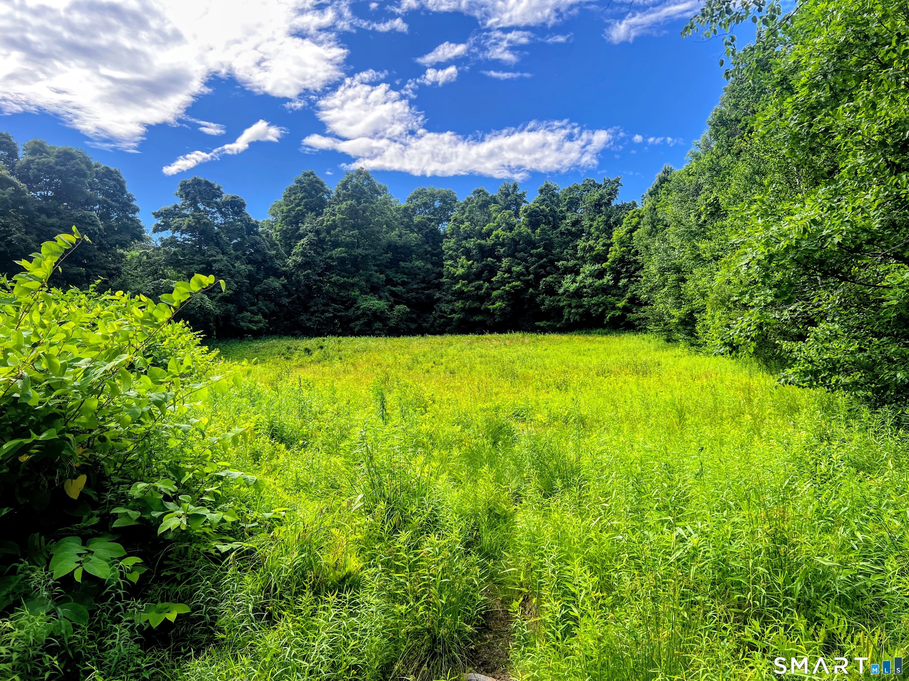 Hartland CT 06027