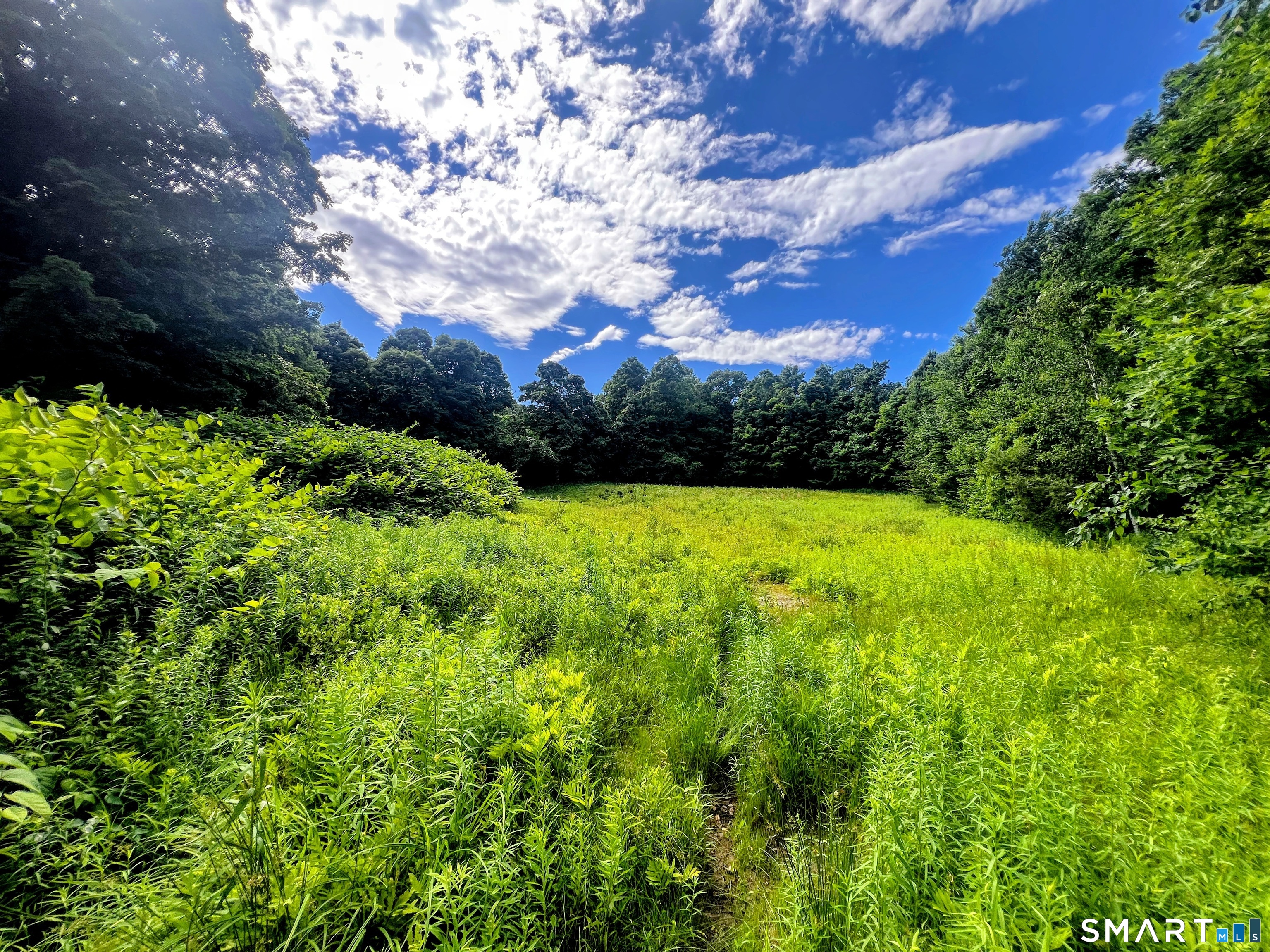 Hartland CT 06027